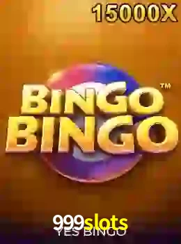 bingobingo